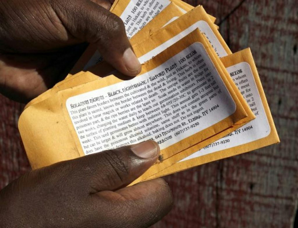 Farmer Albert Nyamari — Kenyans know him by the name Kastone — holds empty packets of chinsaga seeds (“Black Night Shade” in English). He has cultivated his own seeds for next year’s planting. (Star Tribune/The Minnesota Star Tribune)